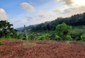 Land for Sale in Kalutara