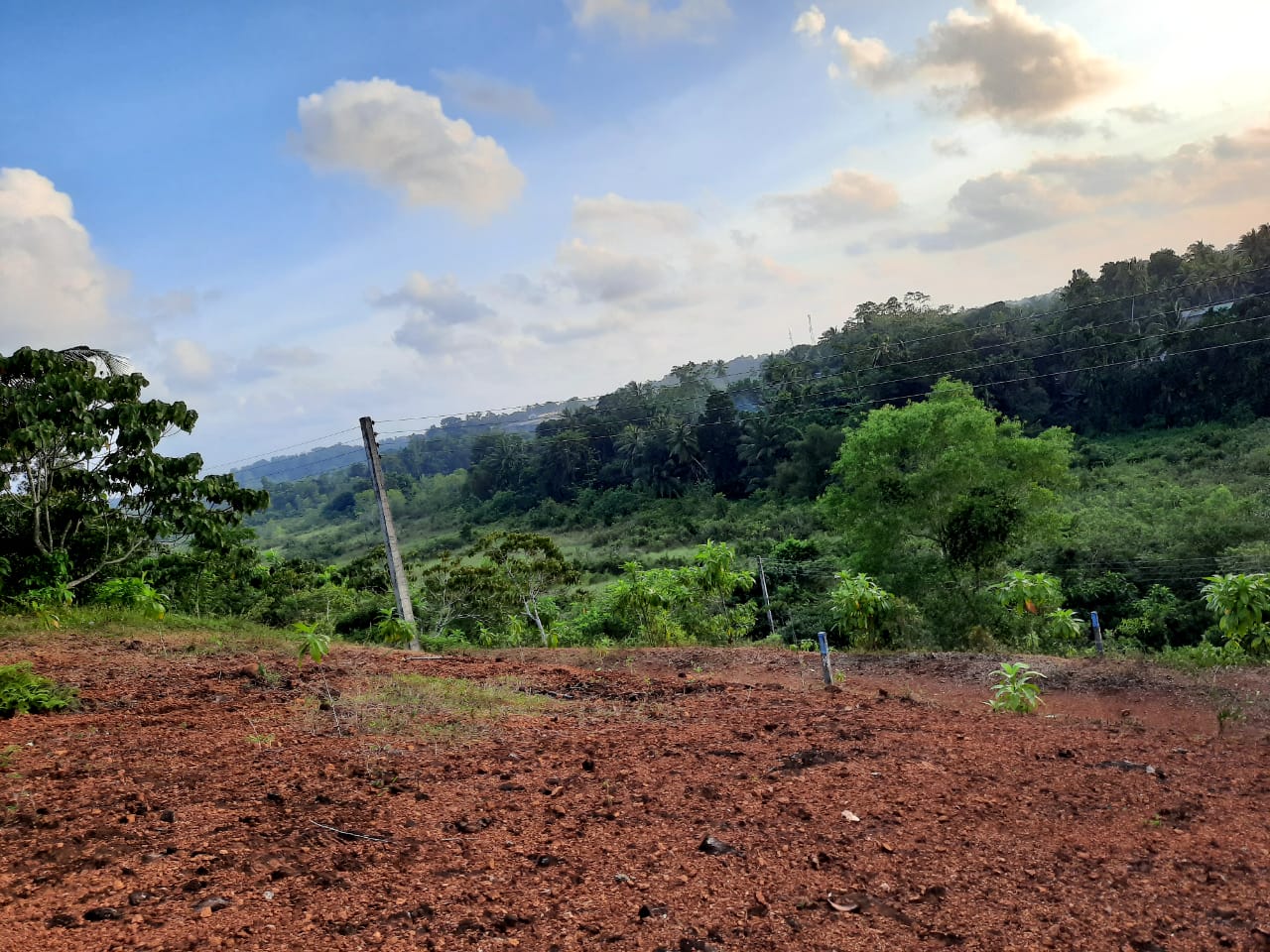 Land for Sale in Kalutara