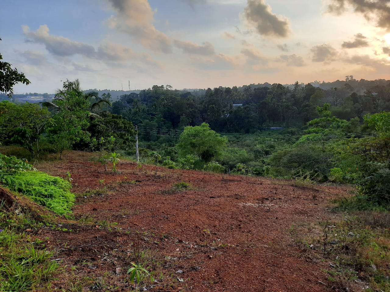 Land for Sale in Kalutara