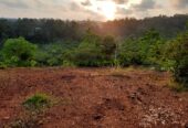 Land for Sale in Kalutara