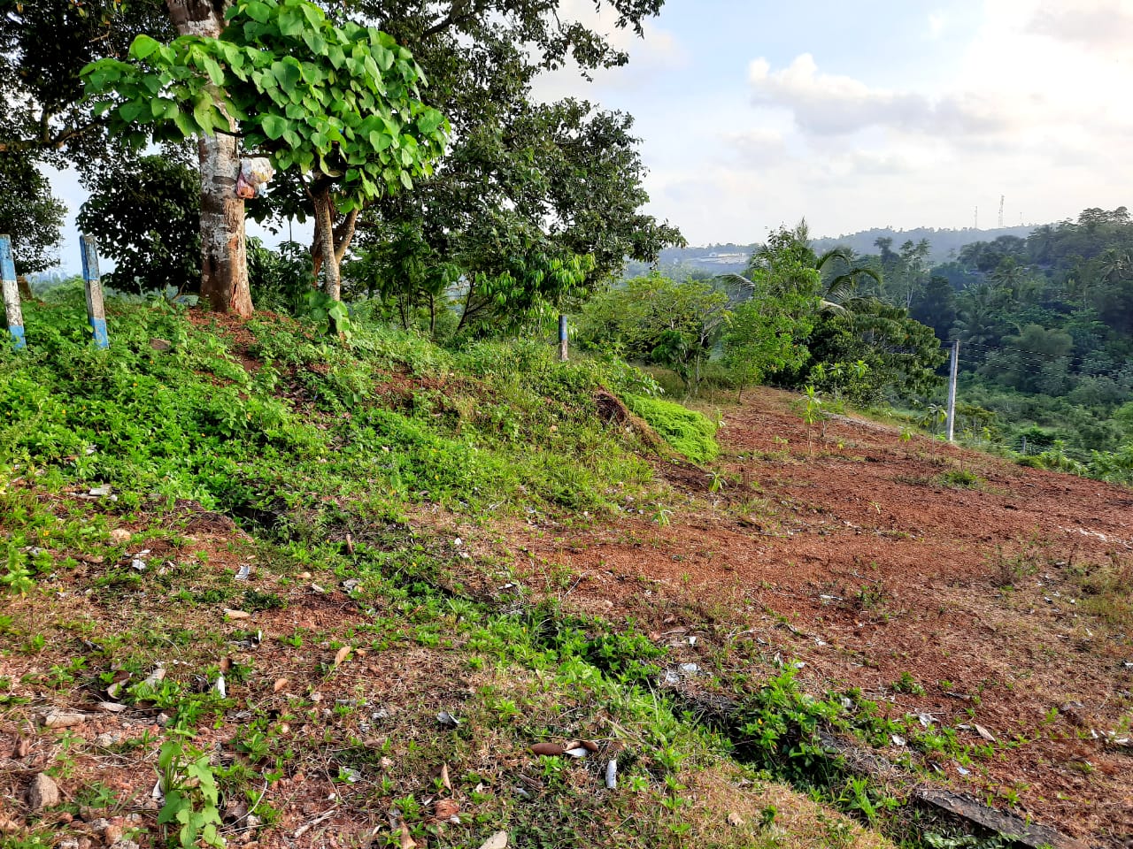 Land for Sale in Kalutara
