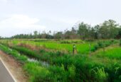 Land for Sale in Mahiyanganaya