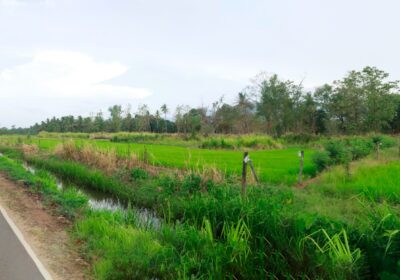 Land for Sale in Mahiyanganaya