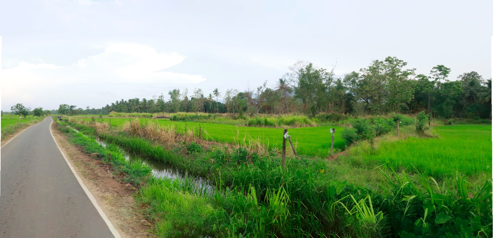 Land for Sale in Mahiyanganaya