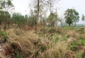 Land for Sale in Mahiyanganaya
