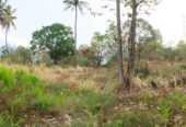 Land for Sale in Mahiyanganaya