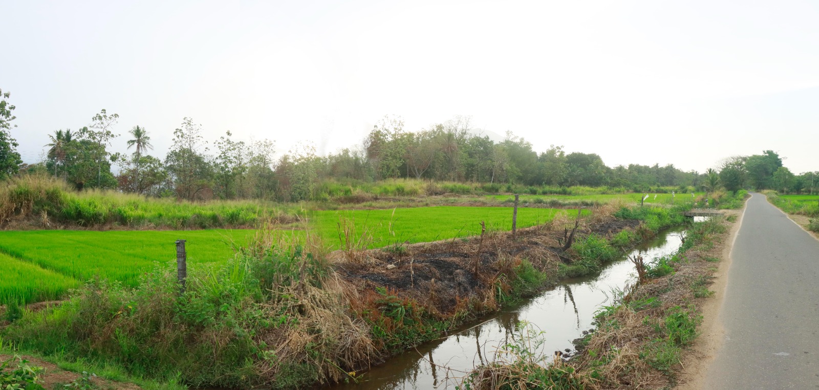 Land for Sale in Mahiyanganaya