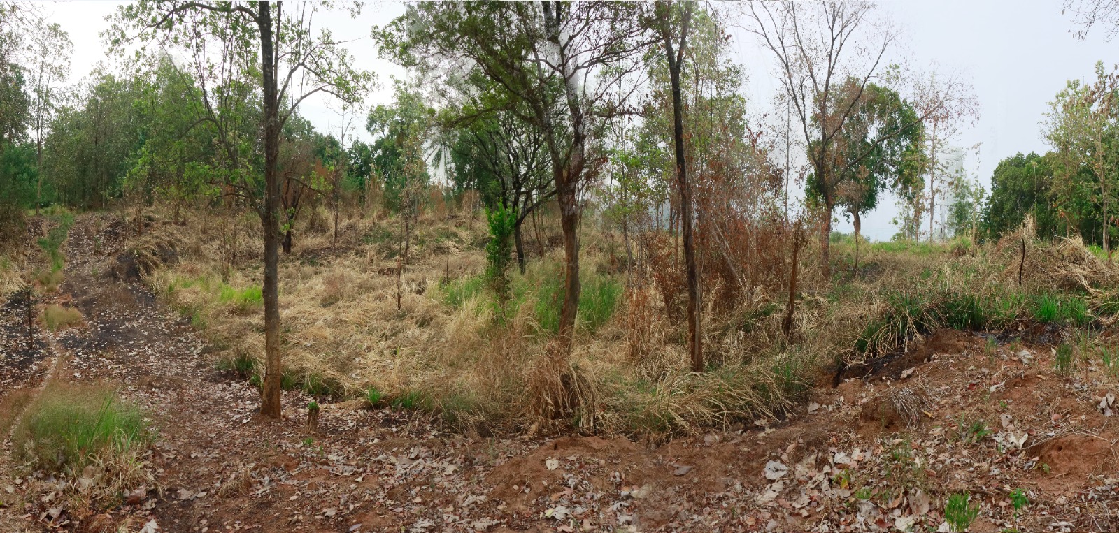 Land for Sale in Mahiyanganaya