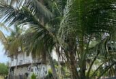 Hotel for Sale Pamunugama