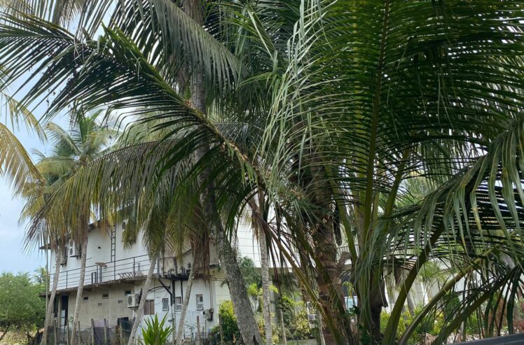 Hotel for Sale Pamunugama