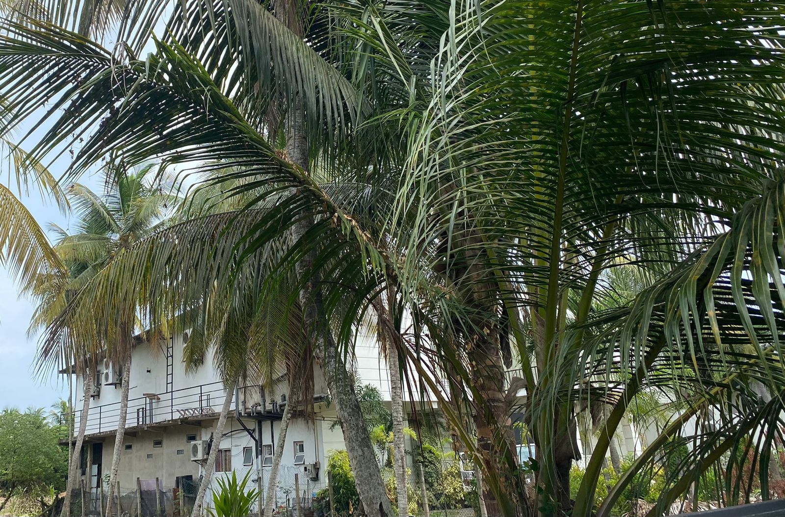 Hotel for Sale Pamunugama