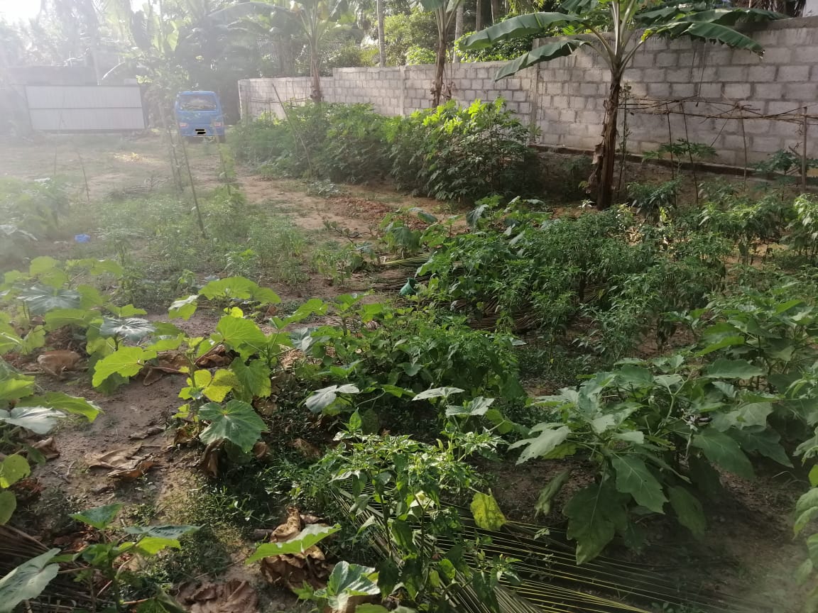 22 Perch Land For Sale In Kadawatha