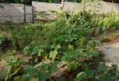 22 Perch Land For Sale In Kadawatha