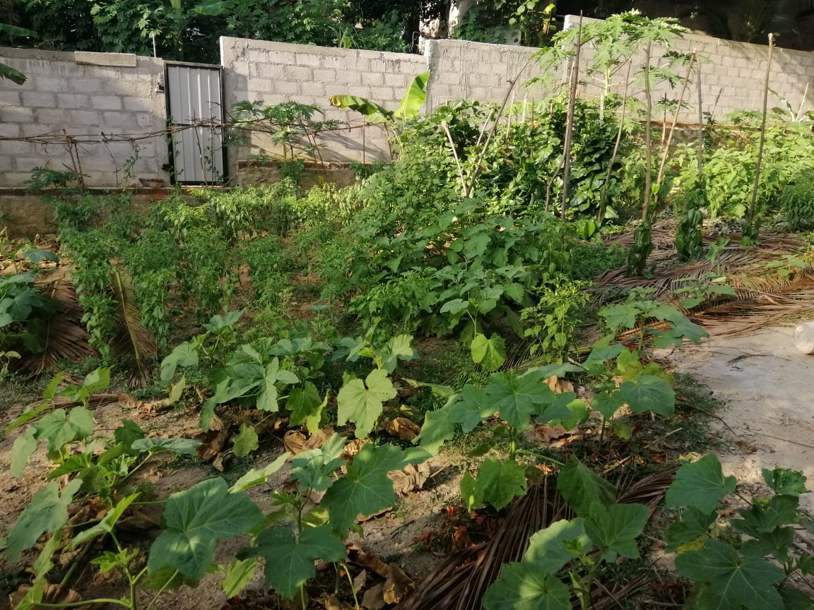 22 Perch Land For Sale In Kadawatha