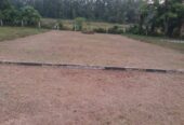 Land For Sale Avissawella