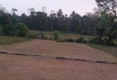 Land For Sale Avissawella