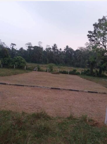 Land For Sale Avissawella