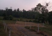 Land For Sale Avissawella