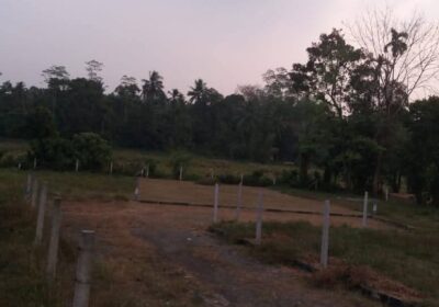 Land For Sale Avissawella