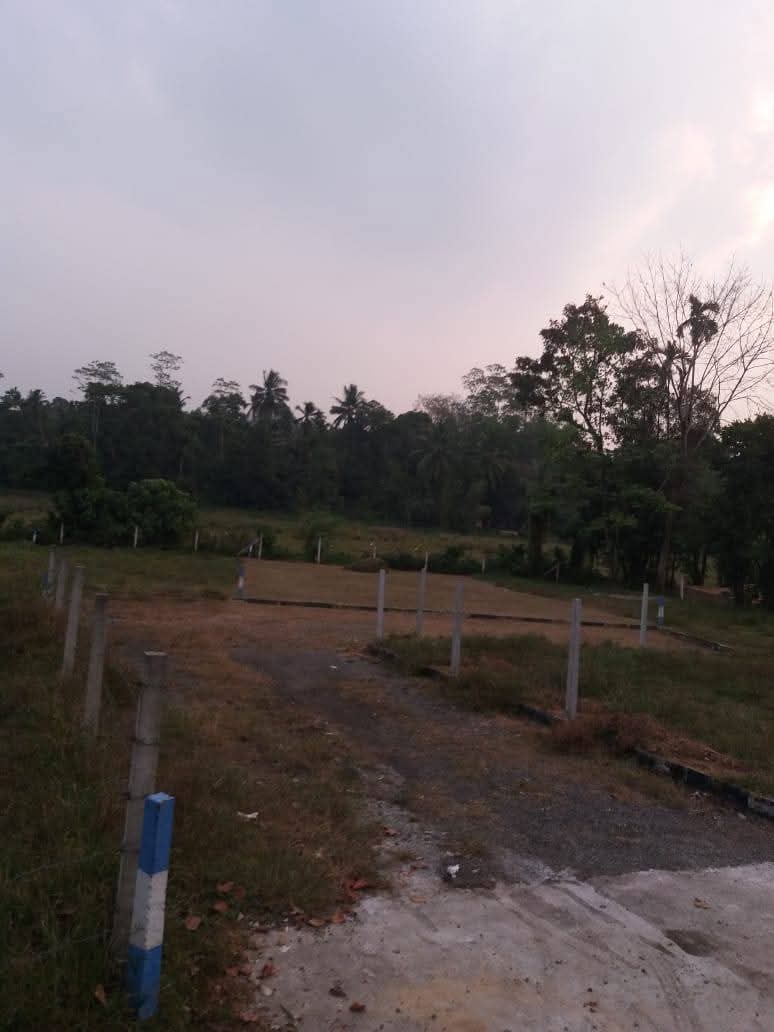 Land For Sale Avissawella