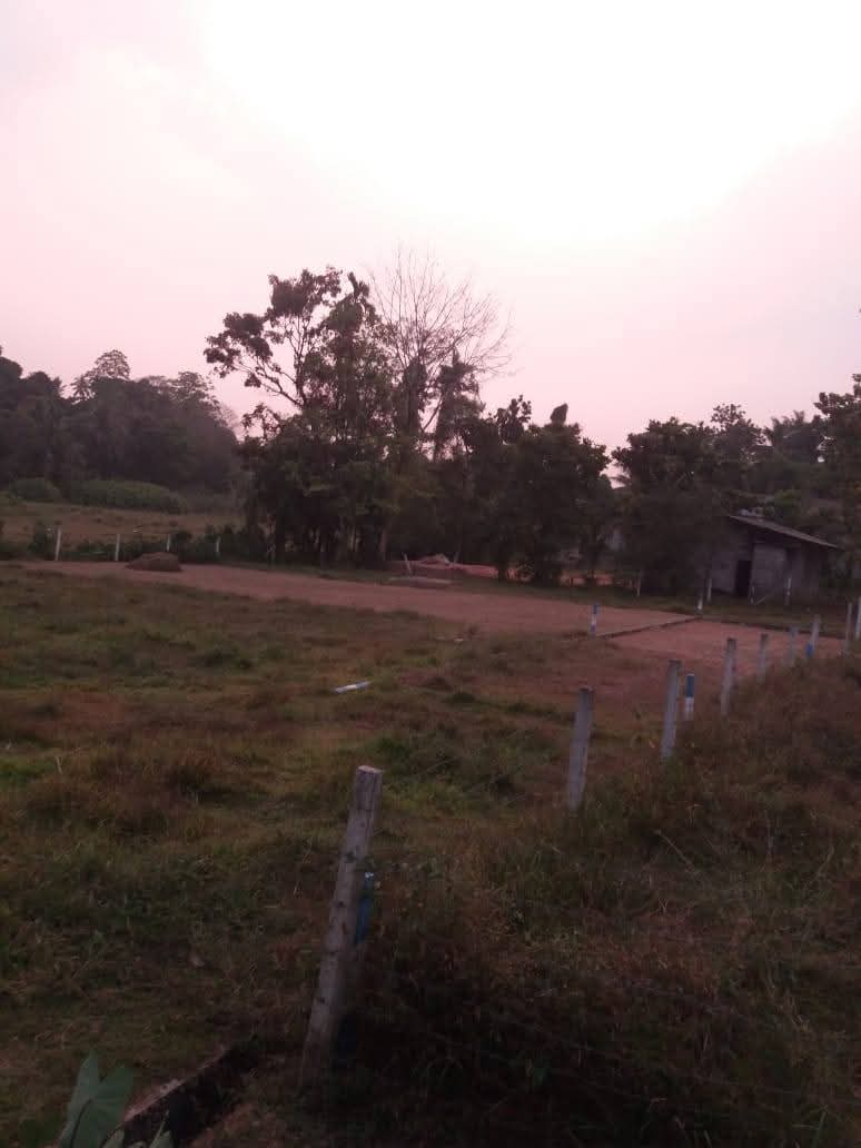 Land For Sale Avissawella