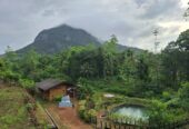 🌿 Holiday Villa for Sale in Elpitiya – Pitigala – Bambarawana