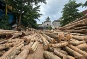 Land Sale In Moratuwa