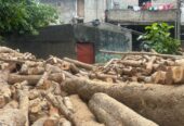 Land Sale In Moratuwa