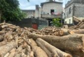 Land Sale In Moratuwa