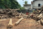 Land Sale In Moratuwa