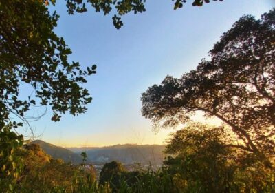 Prime 18-Perch Roadside Land for Sale in Badulla