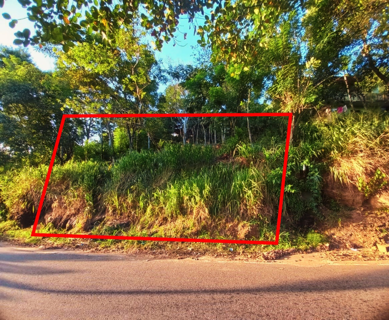 Prime 18-Perch Roadside Land for Sale in Badulla