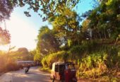 Prime 18-Perch Roadside Land for Sale in Badulla