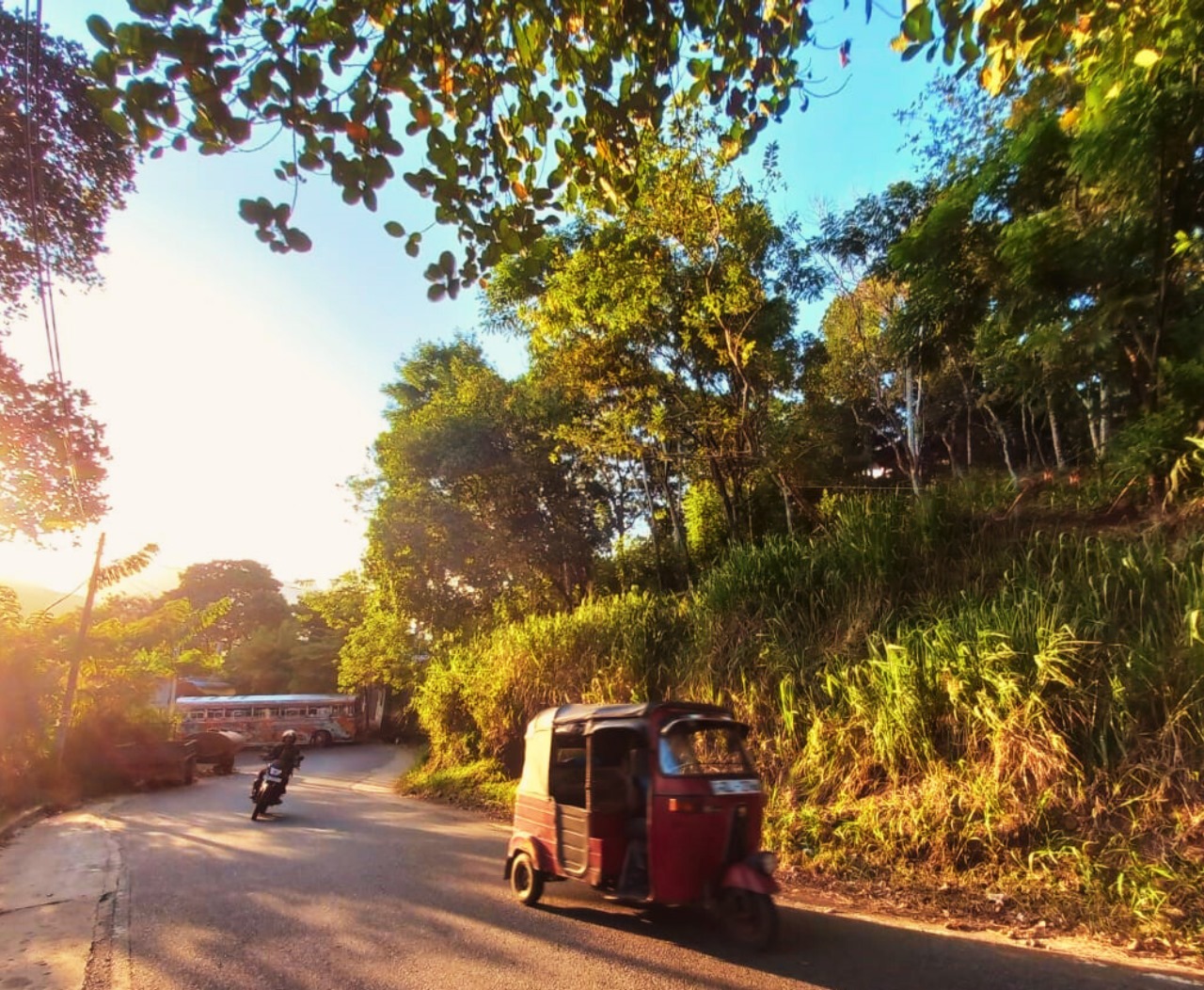 Prime 18-Perch Roadside Land for Sale in Badulla