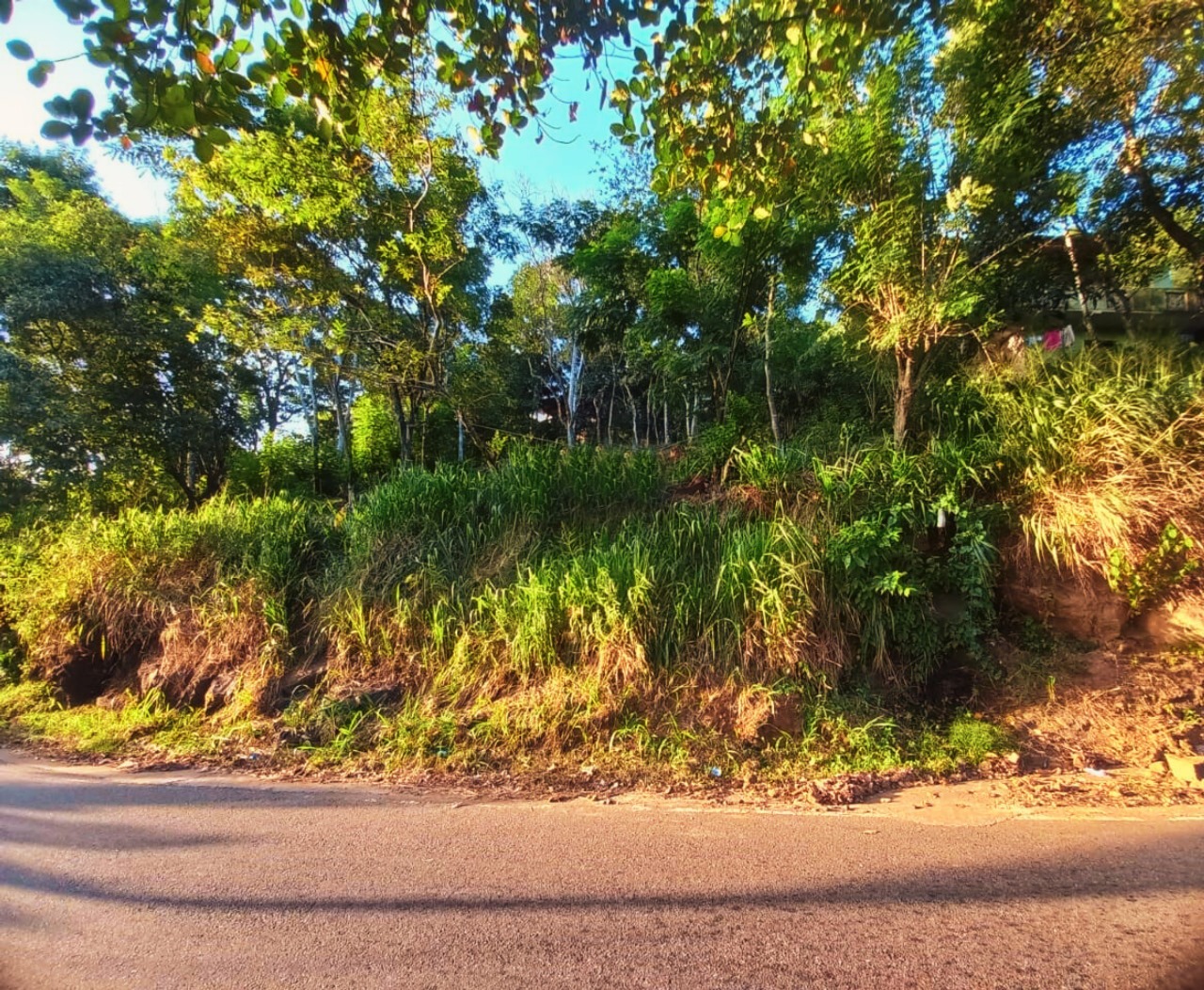 Prime 18-Perch Roadside Land for Sale in Badulla