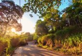 Prime 18-Perch Roadside Land for Sale in Badulla