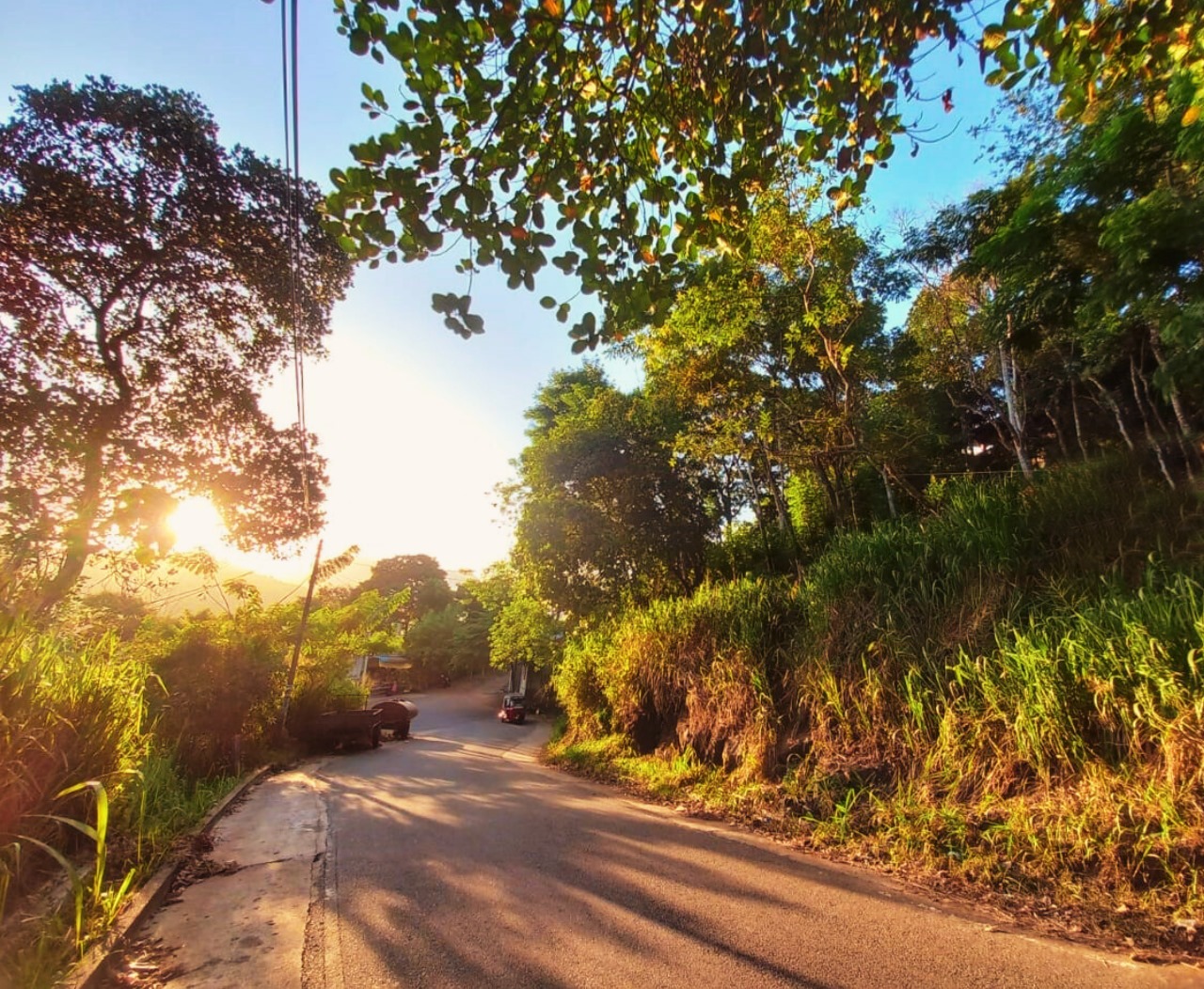 Prime 18-Perch Roadside Land for Sale in Badulla