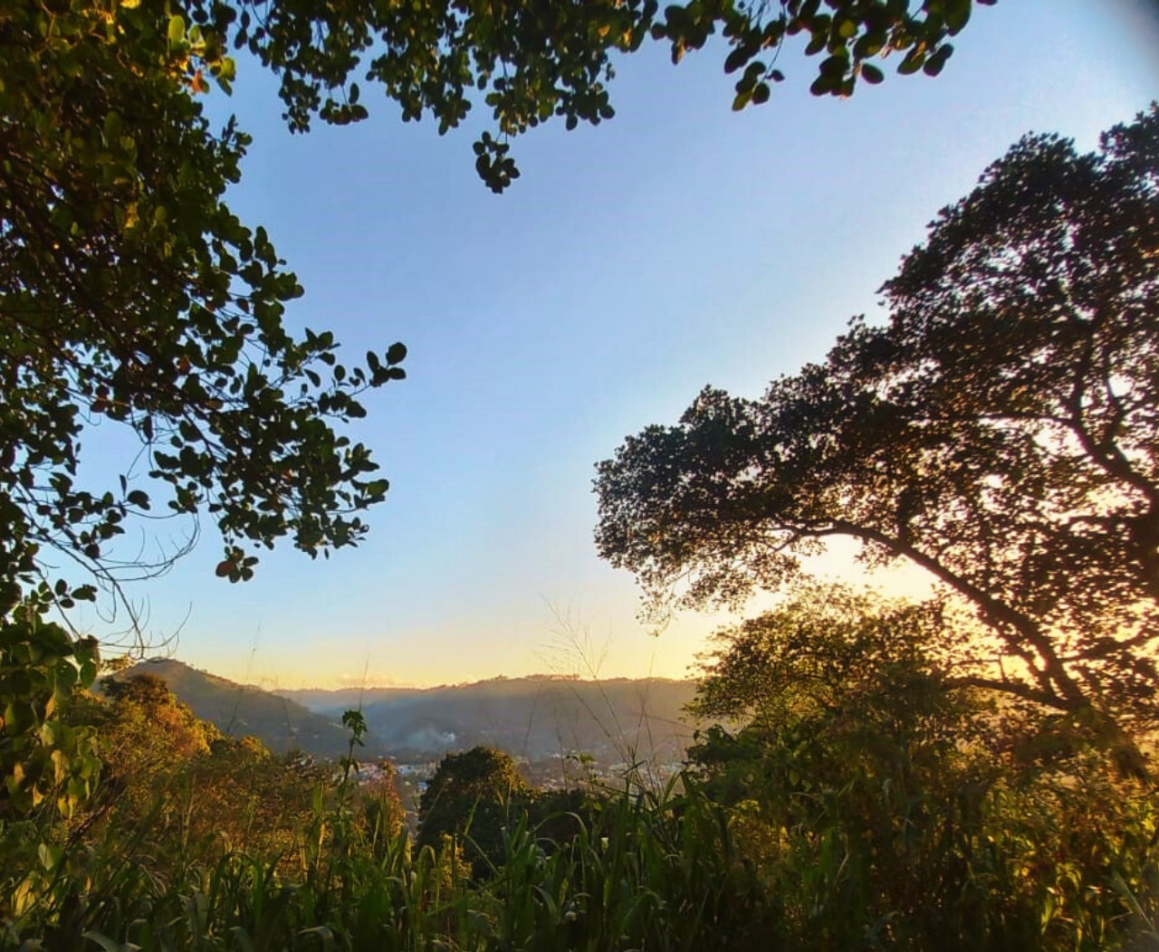 Prime 18-Perch Roadside Land for Sale in Badulla