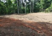 Land for sale in Beliatta