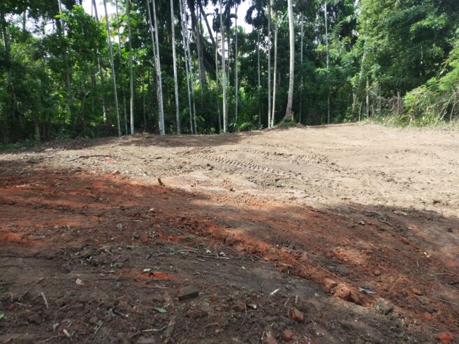 Land for sale in Beliatta