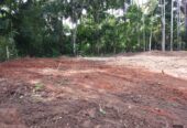 Land for sale in Beliatta