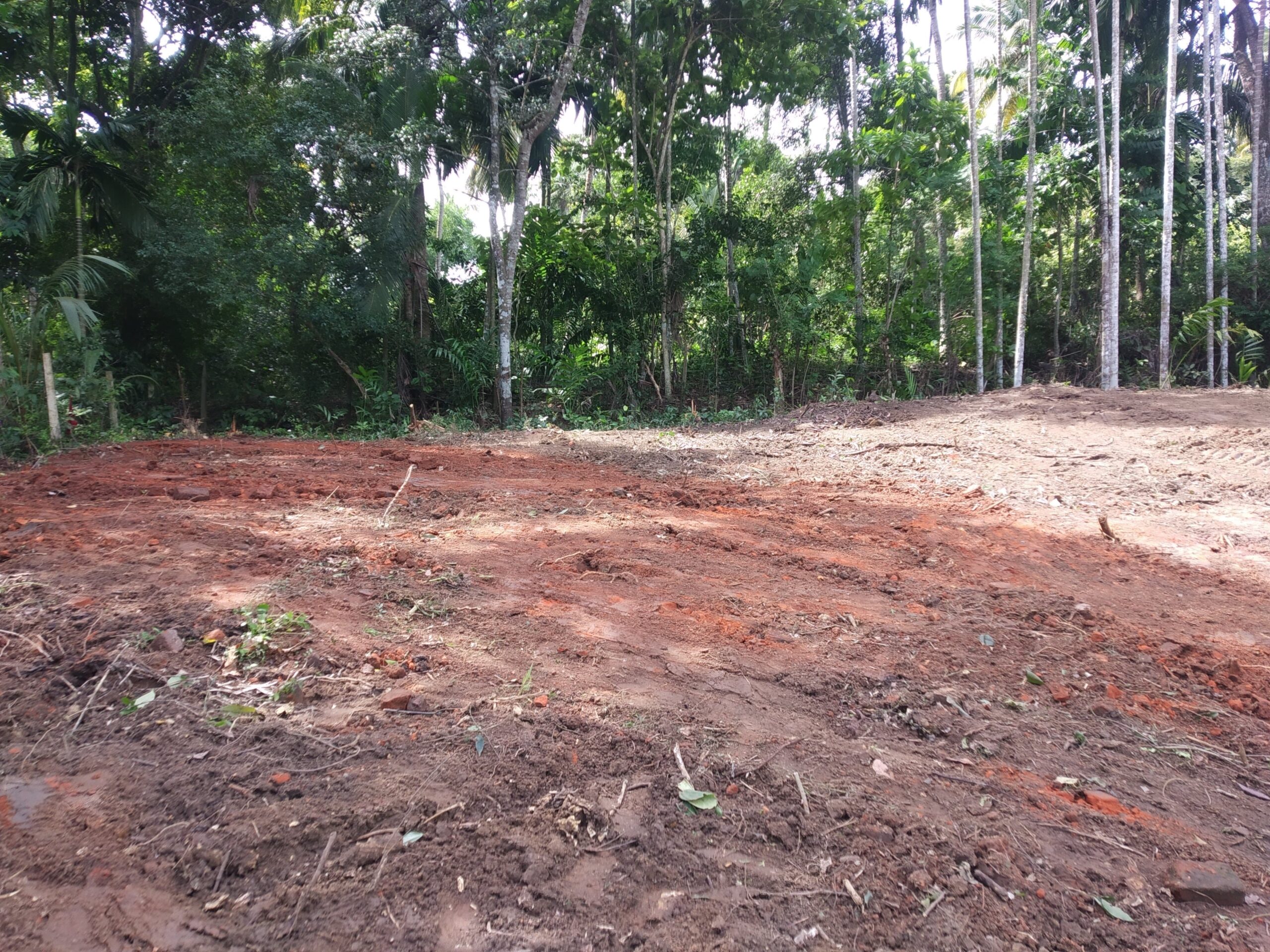 Land for sale in Beliatta