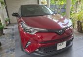 Toyota CHR NGX 10 2019
