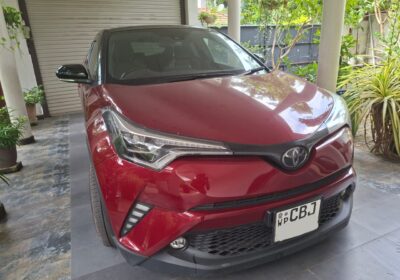 Toyota CHR NGX 10 2019