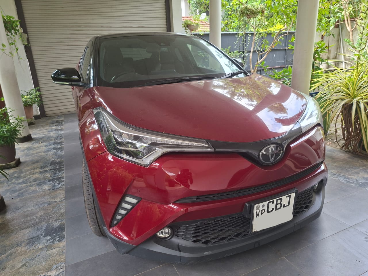 Toyota CHR NGX 10 2019
