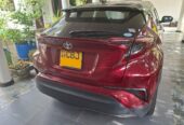 Toyota CHR NGX 10 2019
