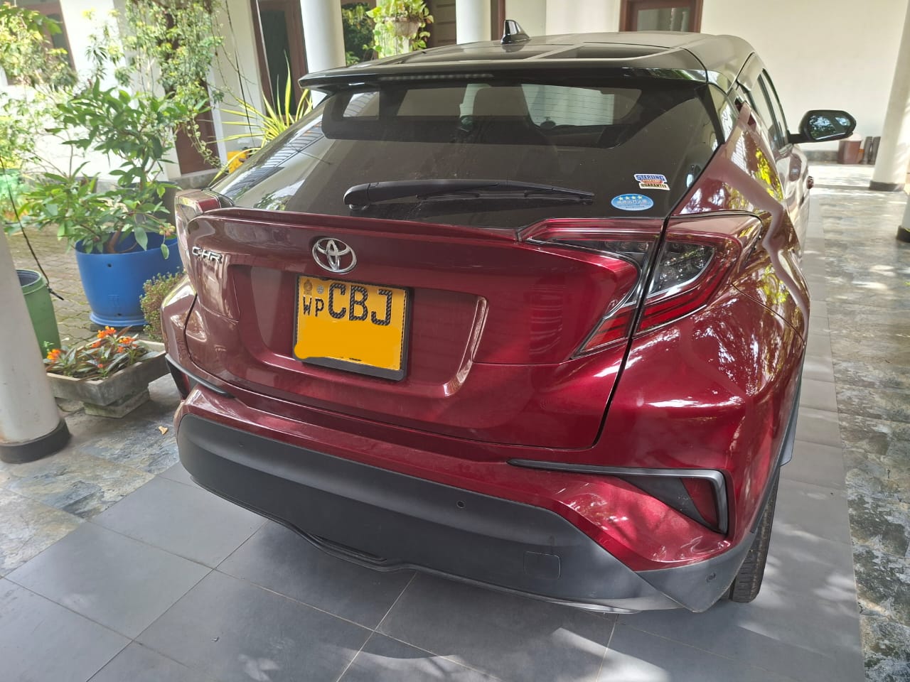 Toyota CHR NGX 10 2019