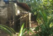 House For Sale in Padukka
