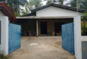 අලව්ව ගිරිඋල්ල පාරට 500m දුරින්