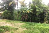 Land for Sale in Kottawa